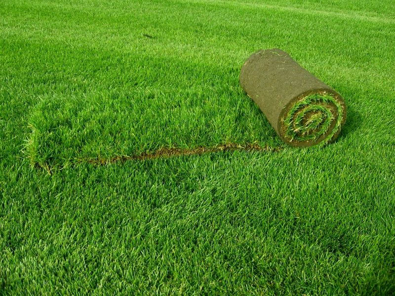 Искусственная трава для ландшафта: как укладывать и ухаживать